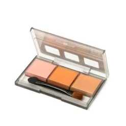 Tamiya Weathering Master Set. Salmon, Caramel And Chestnut